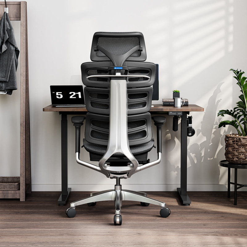 OdinLake O2 (Ergo MAX 747) | Three-Section Backrest Ergonomic
